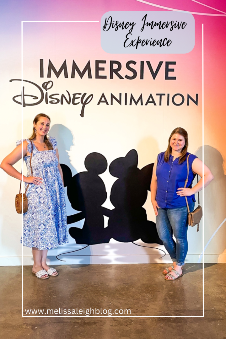 Disney Immersive Experience Review